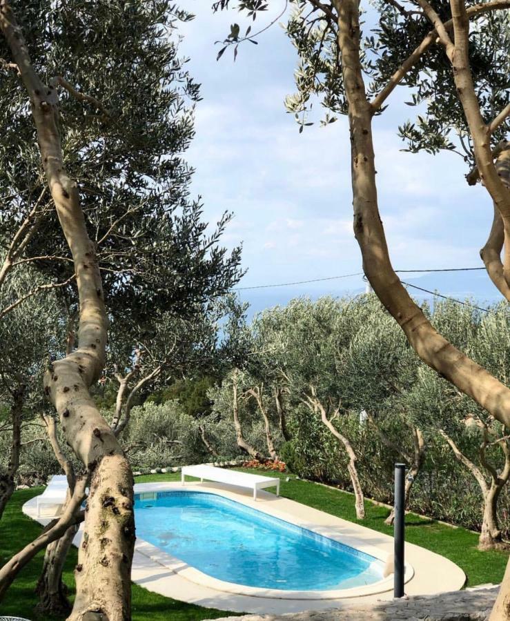 Villa Tamaris มาคาร์สกา ภายนอก รูปภาพ